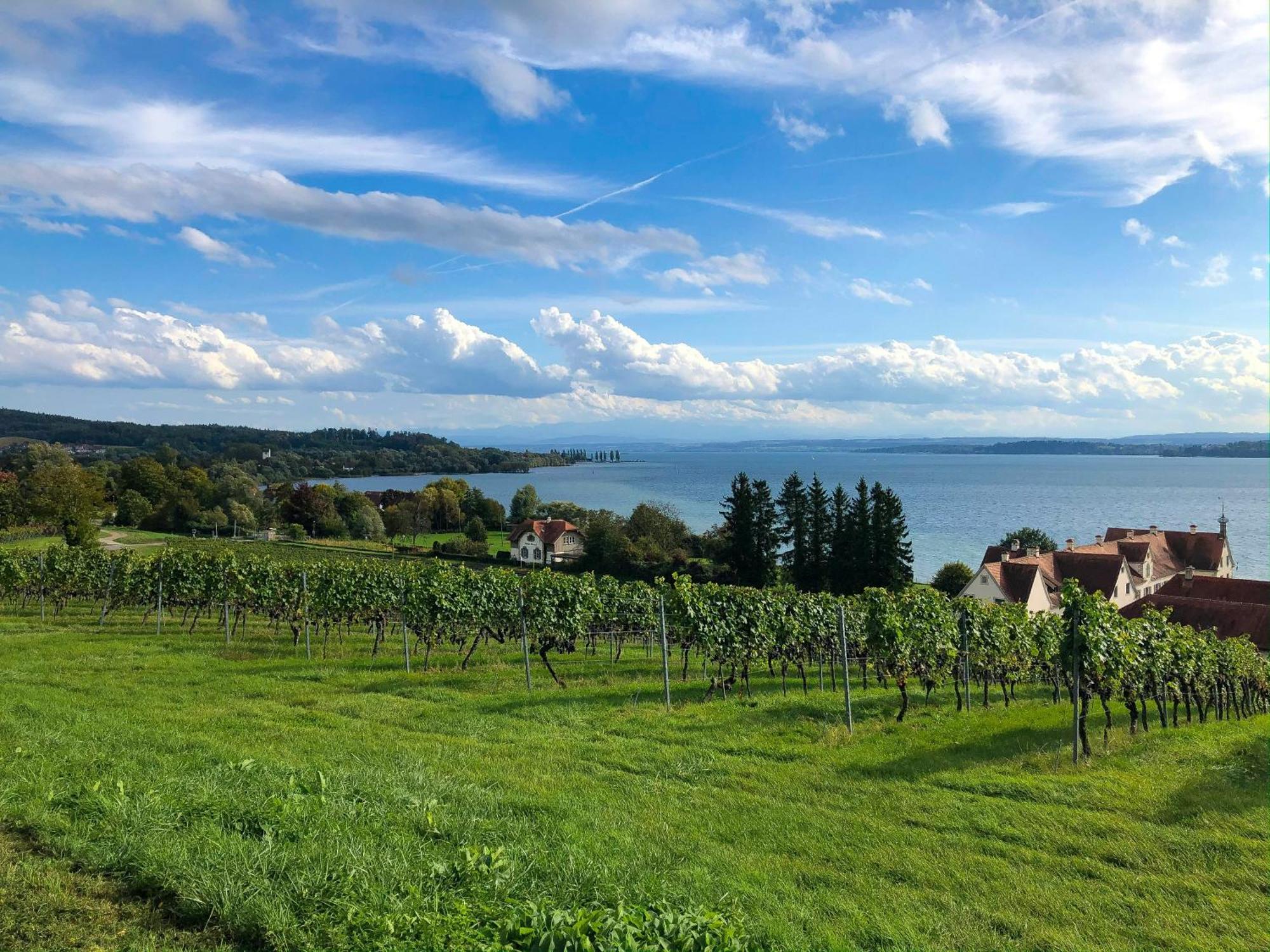 Apartment 30m Vom Bodensee *